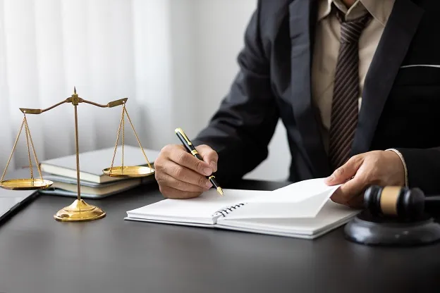 업무방해죄처벌 | 항소의 개념 및 효과