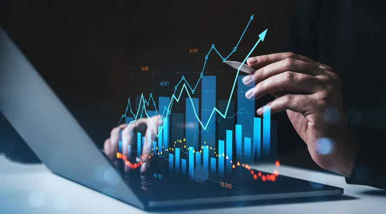 외국인직접투자 자문 효과