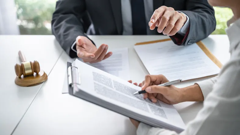 교원소청심사 대리인의 역할