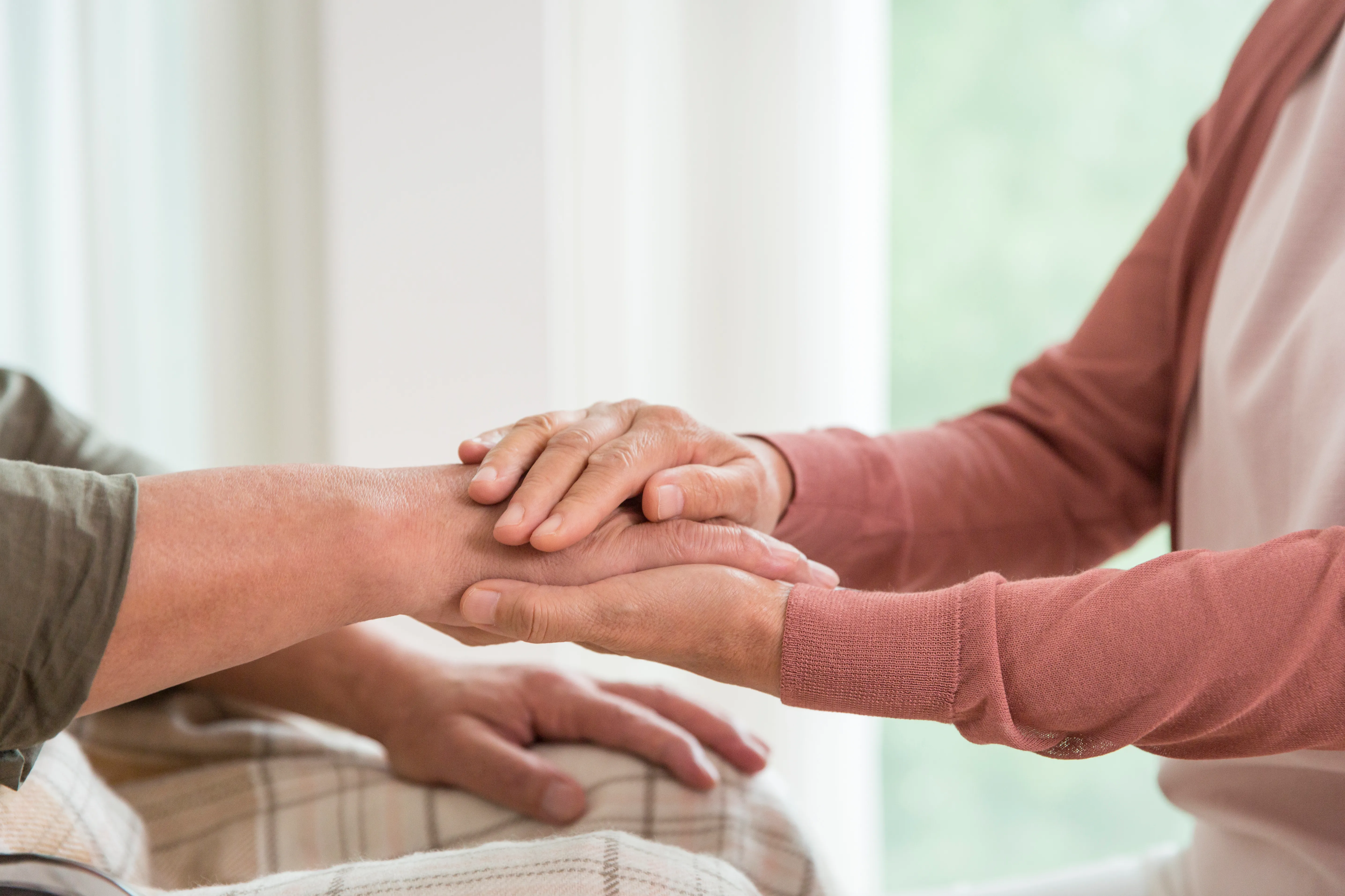 증여무효소송 의미 법률 정보 내용