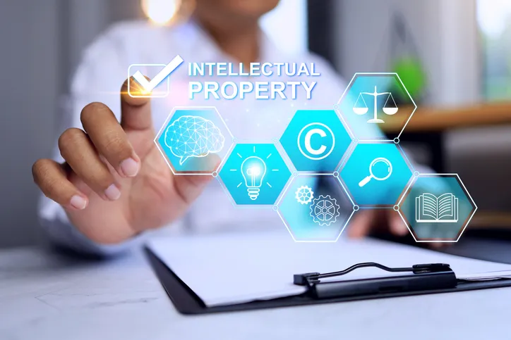 국경조치 | 기업 IP 보호의 출발점