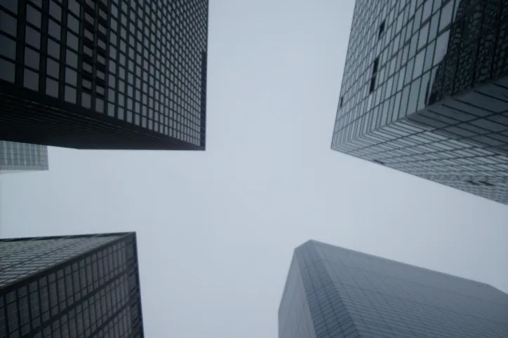 특수목적법인 | 개념과 제도