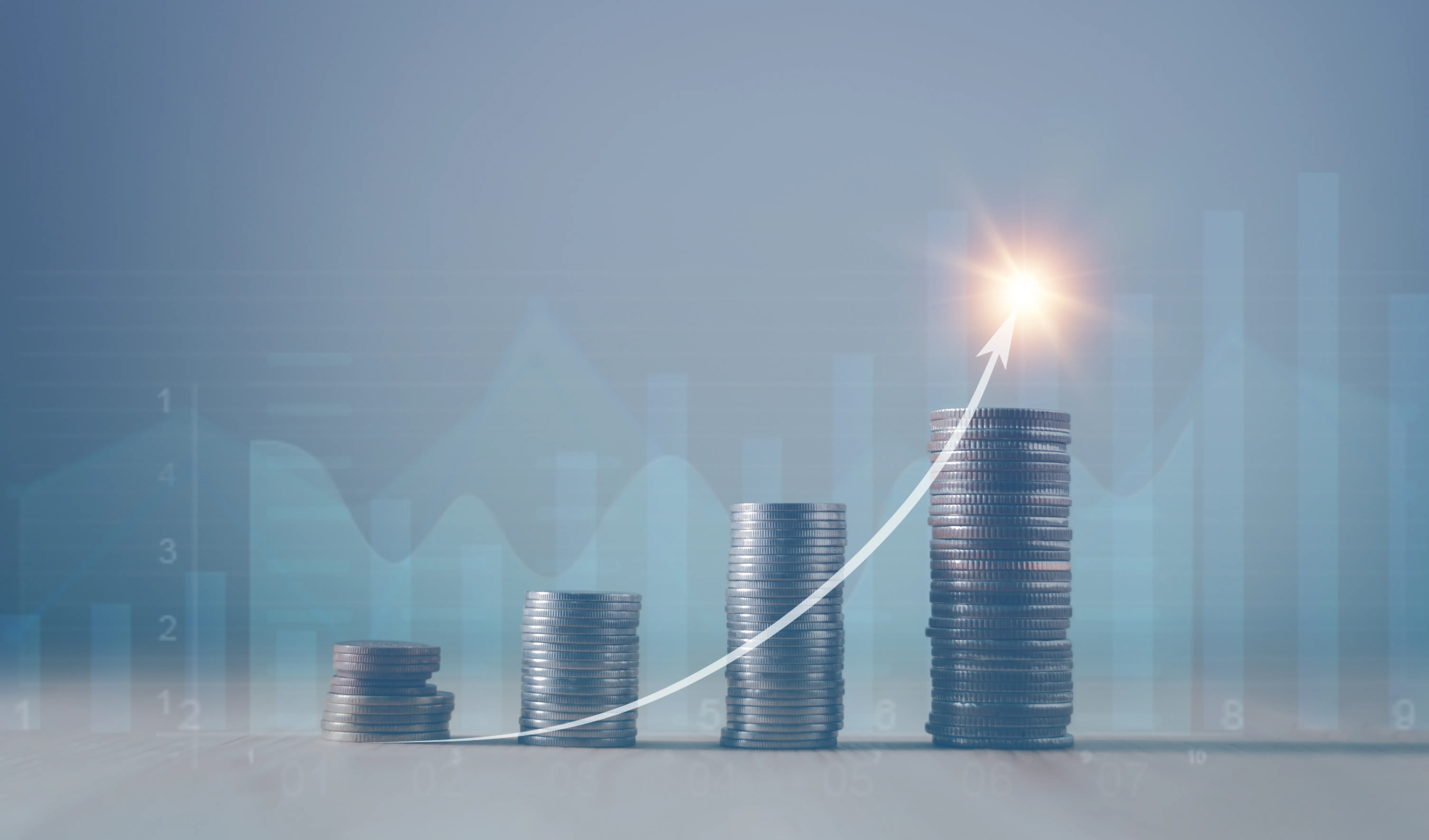 IR | 주요 IR 활동과 운영 방식