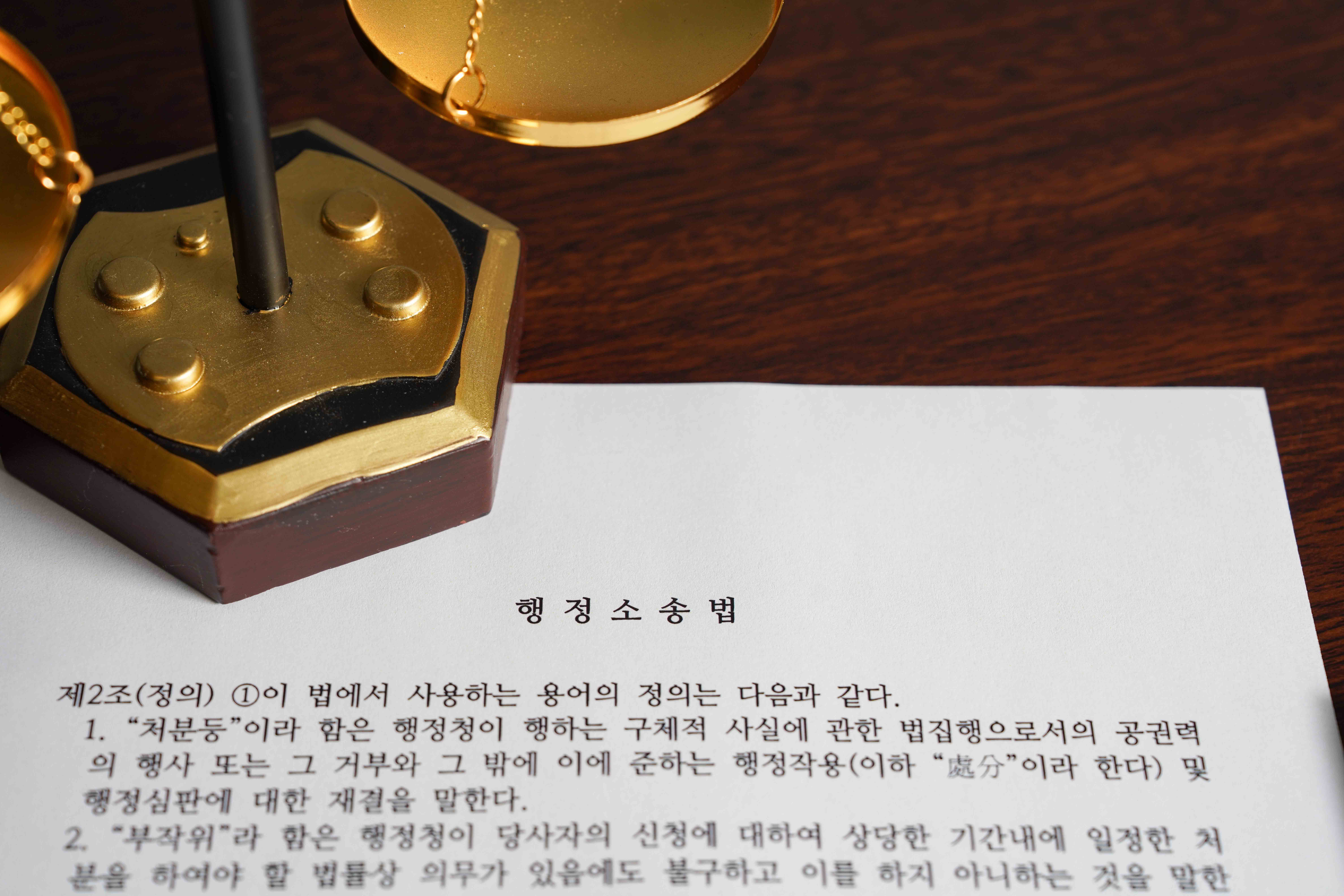 유권해석 | 정의와 특징