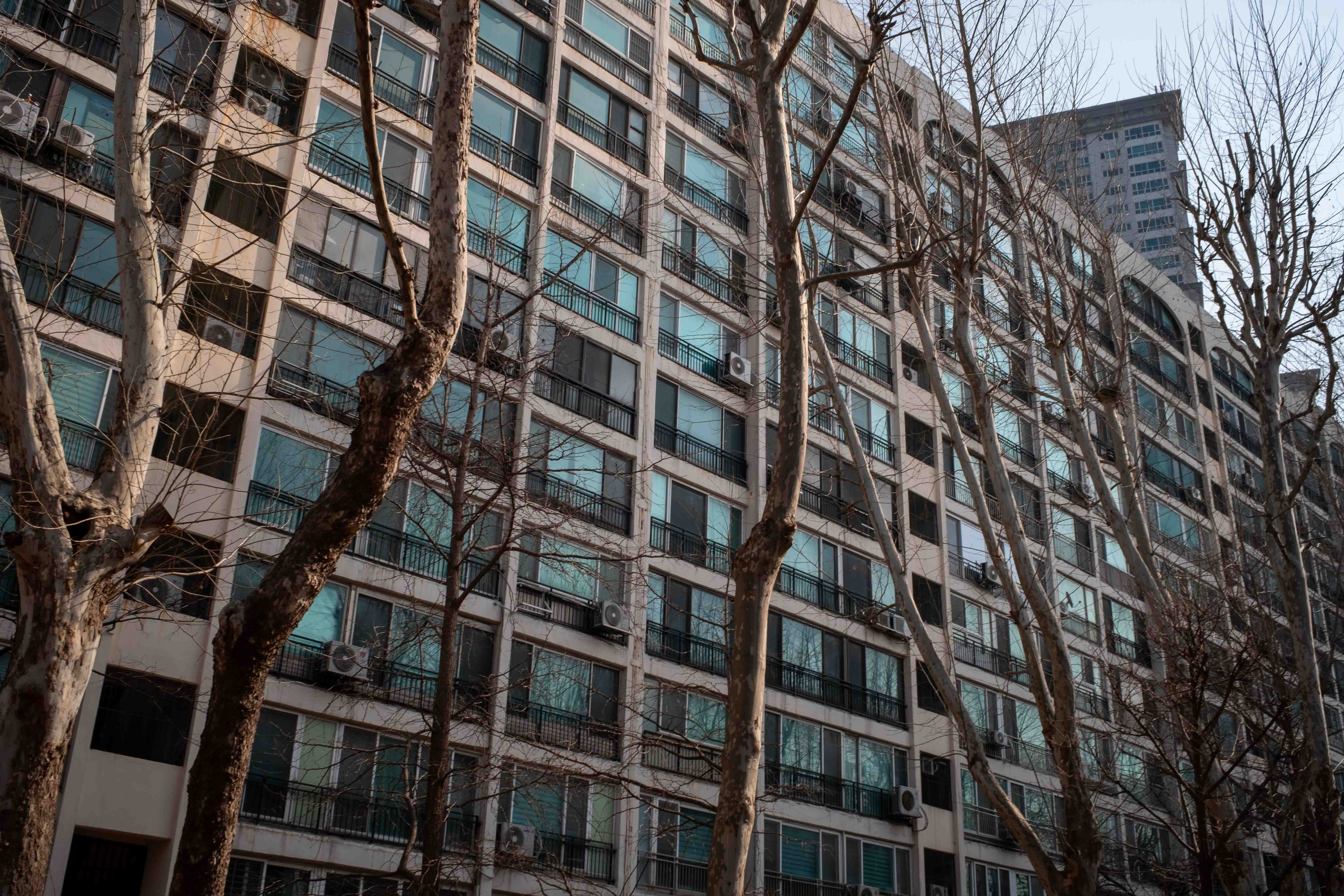 제주부동산전문변호사 | 사건의 경위