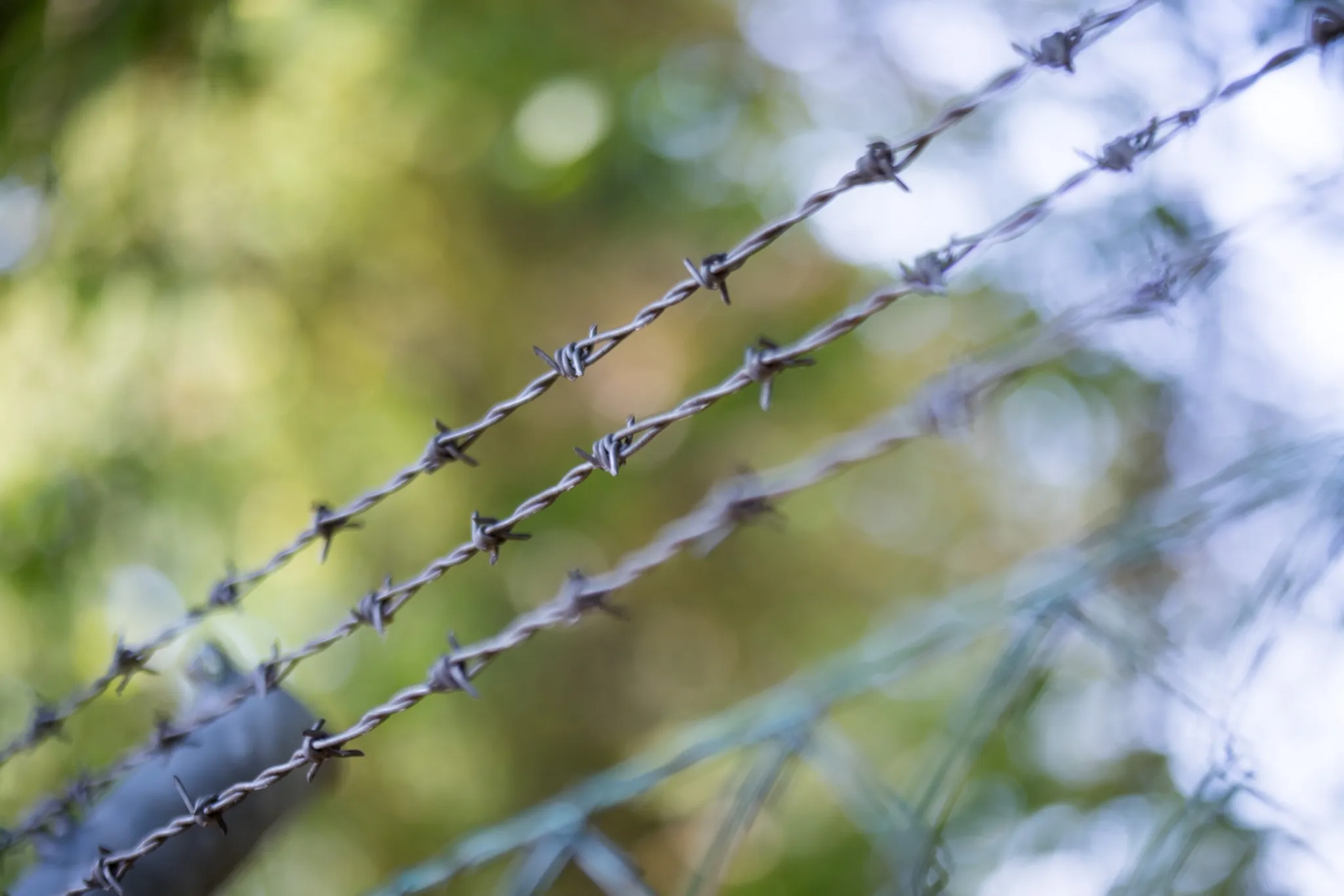 법무법인 대륜 대구건설전문변호사 | 토지무단점유 인도청구 승소 사례