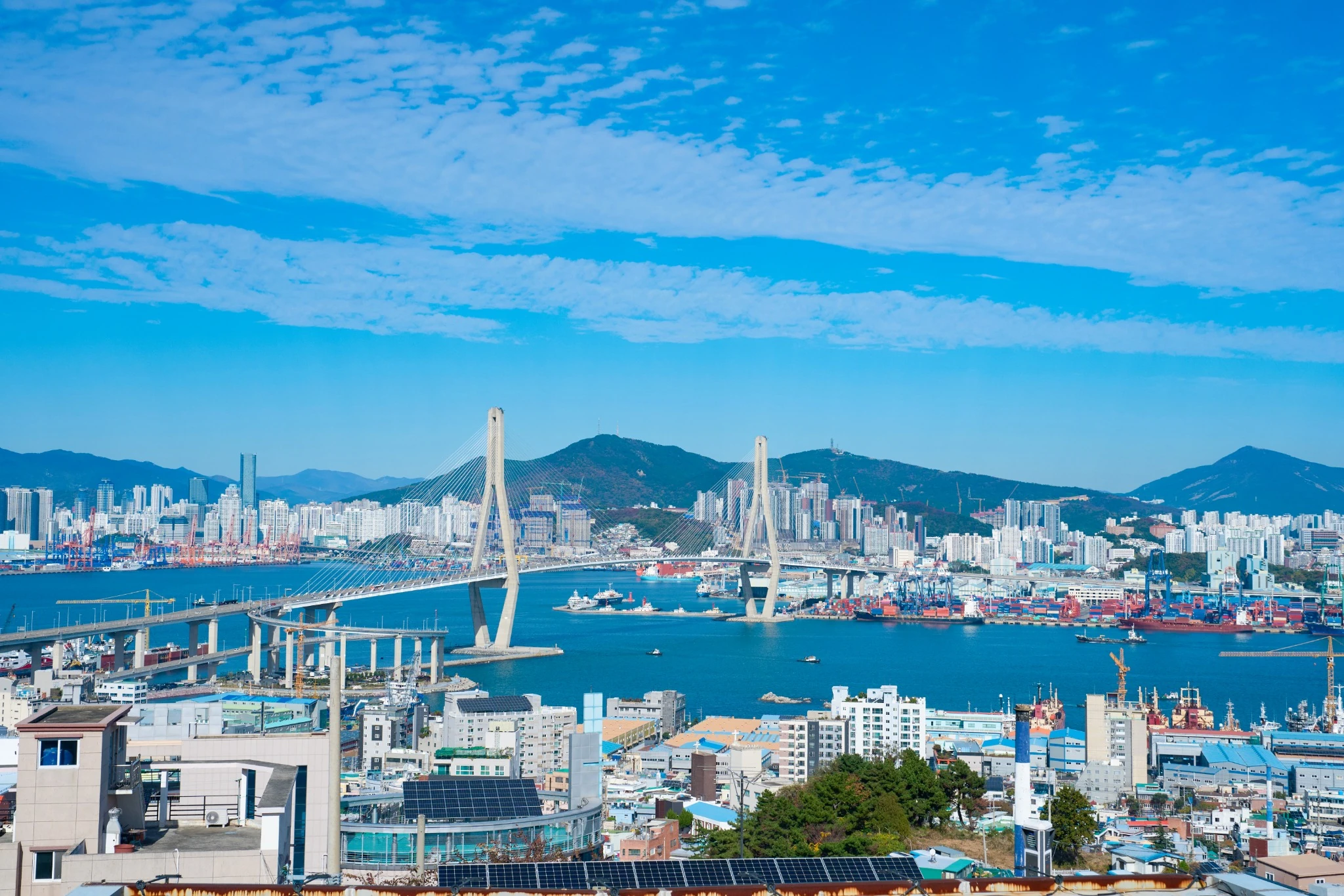 부산명도소송 변호사 법무법인 대륜 임대차분쟁