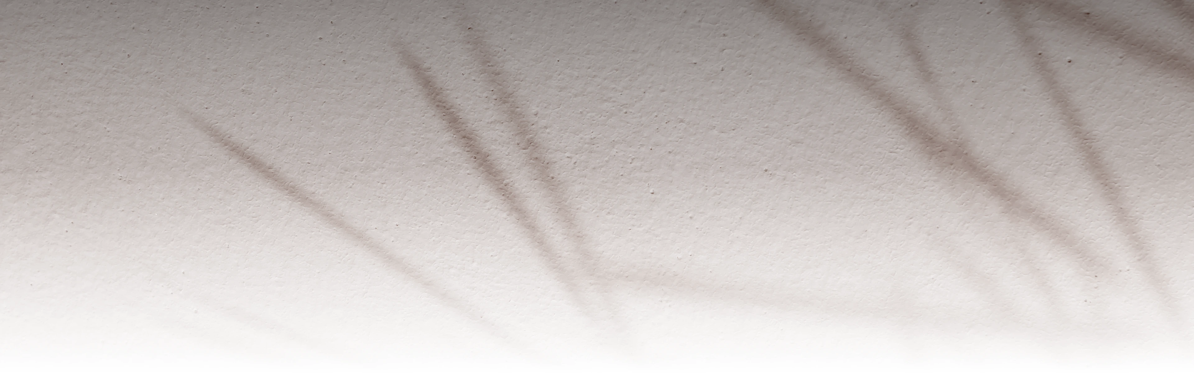 상세 페이지 타이틀 배경 pc 버전