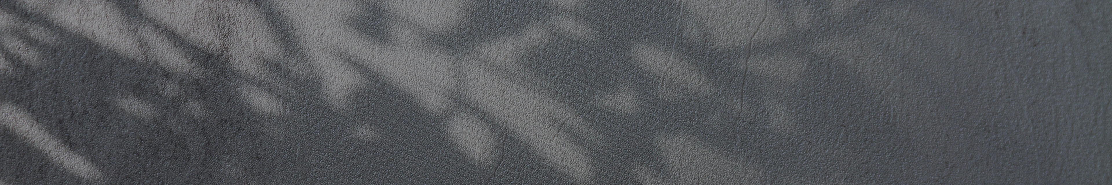 페이지 타이틀 배경 pc 버전